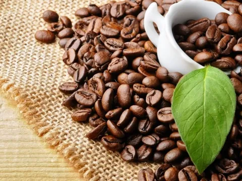 Giá cà phê Arabica tiếp tục leo đỉnh, giá ngô tăng sau báo cáo WASDE