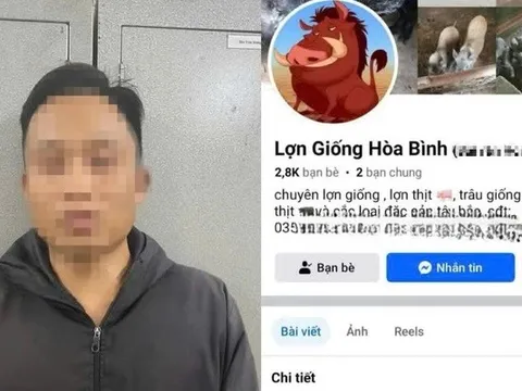 Bắt đối tượng lừa mua bán lợn trên mạng để chiếm đoạt tiền đặt cọc