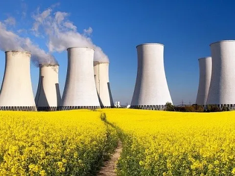 Tái khởi động dự án điện hạt nhân Ninh Thuận: Chủ trương lớn được nhân dân ủng hộ