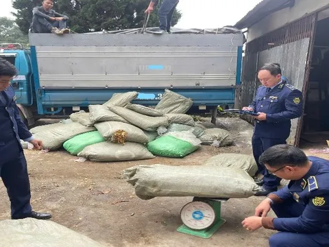 Cao Bằng: Tạm giữ hơn 1,8 tấn nguyên liệu thuốc lá không rõ nguồn gốc