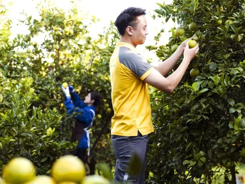 Mang nông sản Việt lên môi trường số