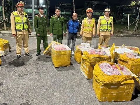 Ngăn chặn gần 1 tấn nội tạng động vật hôi thối đang trên đường từ Hà Nội lên Điện Biên