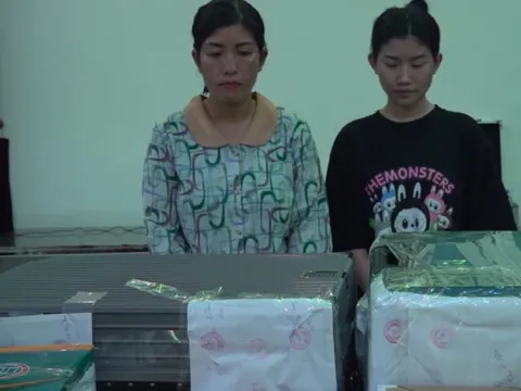 Khởi tố, bắt tạm giam 3 đối tượng mua bán, vận chuyển hơn 42kg ma túy