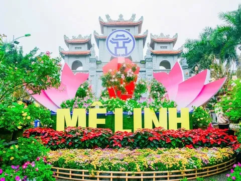Sắp diễn ra lễ hội hoa lớn nhất miền Bắc
