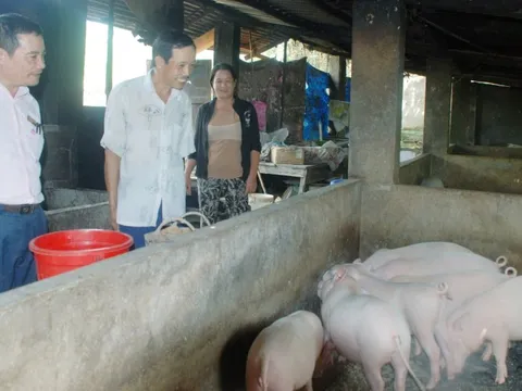Vốn vay chính sách: Đòn bẩy giúp nhiều người dân Đà Nẵng thoát nghèo