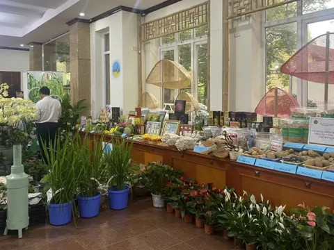 Năm 2024: Xuất khẩu các sản phẩm nông nghiệp tăng trên 18%