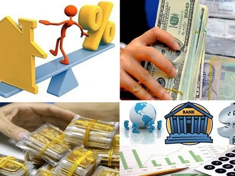 Thủ tướng chỉ đạo tiếp tục tăng cường các giải pháp điều hành lãi suất, tín dụng