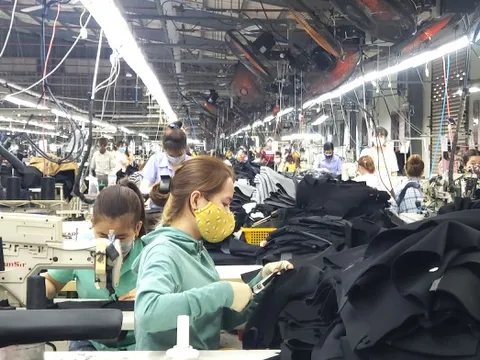 Đà Nẵng: Thưởng Tết cao nhất 700 triệu đồng, thấp nhất 100 nghìn đồng