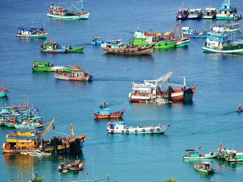 183 thủ tục hành chính thuộc phạm vi quản lý của Bộ Quốc phòng phải số hóa