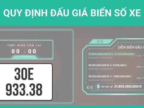 Infographics: Quy định về đấu giá biển số xe