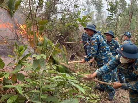 Quảng Ninh: Xuyên đêm chữa cháy rừng ở Bãi Cháy