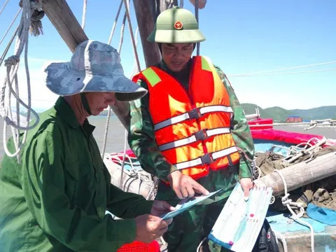 Quảng Bình: Kiểm soát chặt hoạt động khai thác, thu mua thủy sản trên biển