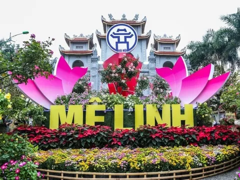 Lễ hội hoa Mê Linh lần thứ 2 hội tụ dàn sao “đỉnh nóc, kịch trần”