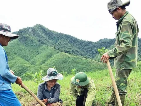 Tăng tốc chi trả nguồn giảm phát thải khí nhà kính, tạo động lực thúc đẩy tăng trưởng giá trị “ kinh tế rừng”