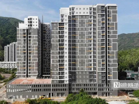Người không sinh sống, làm việc tại Bình Định không được xét duyệt mua nhà ở xã hội