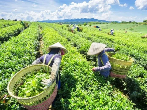 Bài 2: Cuộc chơi toàn cầu và những thách thức chính sách