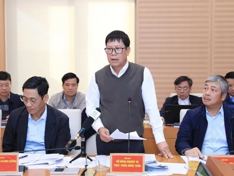 Không để phát sinh vi phạm mới tại khu vực bãi sông, ngoài đê