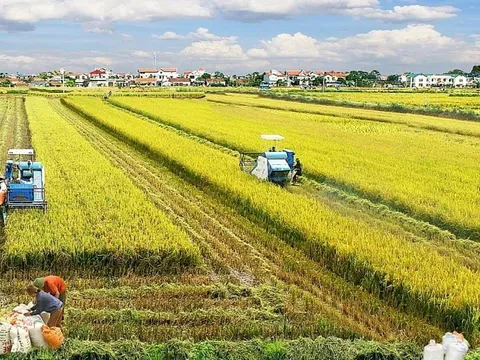 Đề xuất kéo dài miễn thuế sử dụng đất nông nghiệp đến hết ngày 31/12/2030