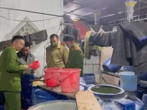 Phát hiện cơ sở dùng hóa chất để kích thích cho thân giá đỗ phát triển