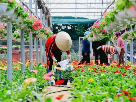 "Hái ra tiền” từ du lịch nông thôn