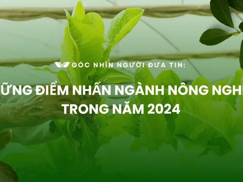 Góc nhìn Người Đưa Tin: Những điểm nhấn ngành nông nghiệp trong năm 2024