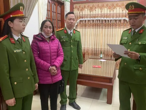 Bắt người phụ nữ môi giới mua bán đất, lừa chiếm hàng tỷ đồng