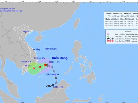 Chủ động ứng phó với diễn biến bão số 10