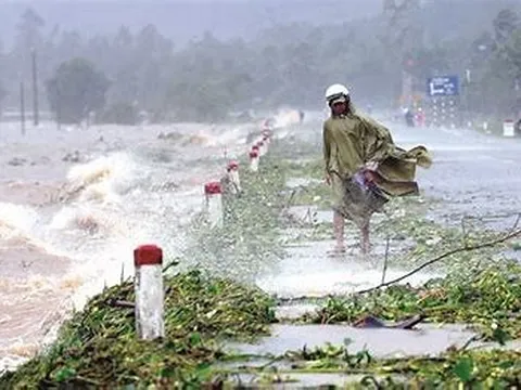 Sản xuất nông nghiệp từng bước được khôi phục sau thiên tai