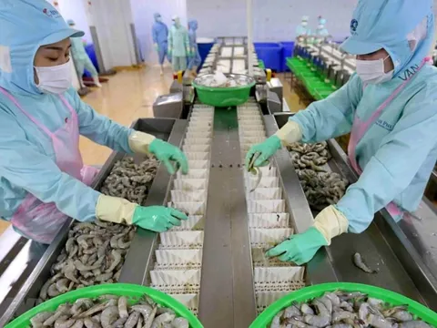 Lãnh đạo Thủy sản Minh Phú muốn bán cổ phiếu MPC