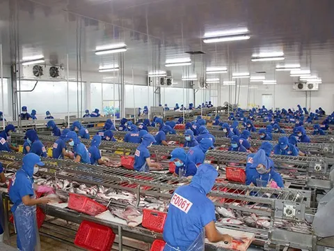 Dự kiến xuất khẩu năm 2025 sẽ tăng trưởng 12%