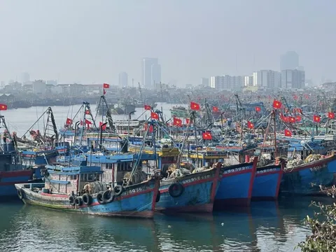 Đà Nẵng hoàn thành xử lý tàu cá '3 không'