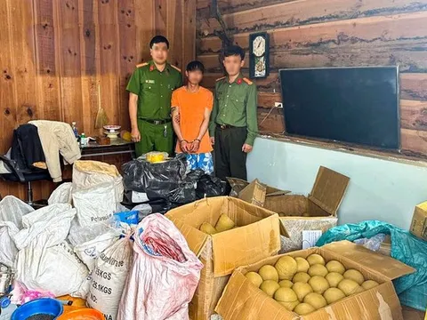 Phá đường dây mua bán hóa chất chế tạo pháo nổ ở Lâm Đồng