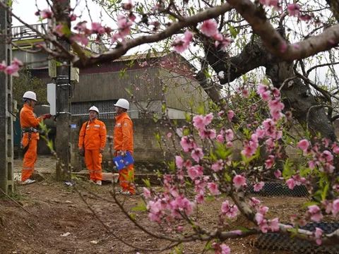 EVNNPC sẵn sàng phương án bảo đảm cung ứng điện dịp Tết Nguyên đán