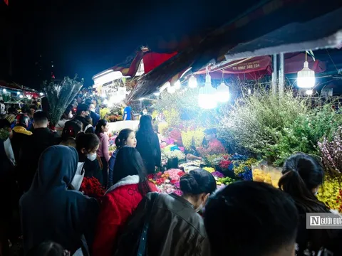 Đến chợ hoa lớn nhất miền Bắc không chỉ để lựa đào chọn quất...