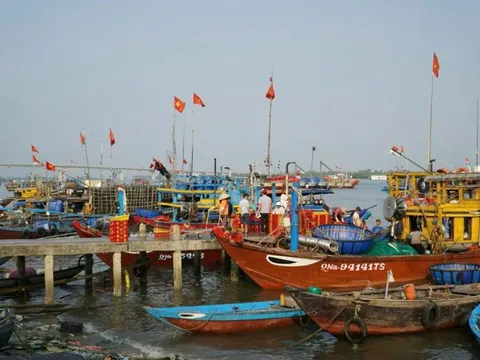 Quảng Nam: Tập trung giải quyết dứt điểm tàu cá '3 không'