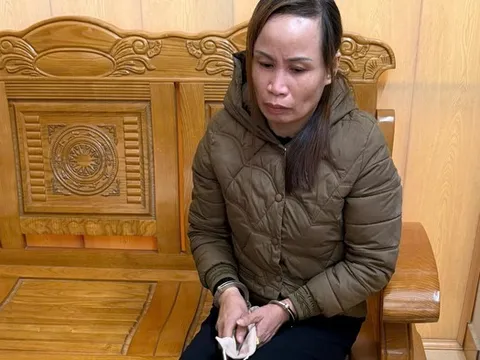 Tạm giữ người phụ nữ lẻn vào trường học trộm cắp tài sản