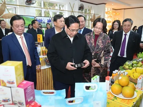 Cần sự chuẩn bị cho xuất khẩu các mặt hàng rau quả chủ lực