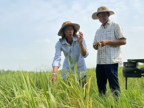 Sử dụng thuốc BVTV sinh học cần nâng cao kiến thức đồng bộ cho người nông dân