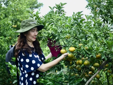Nông nghiệp Việt Nam: Đảm bảo an ninh lương thực, mở rộng thị trường xuất khẩu