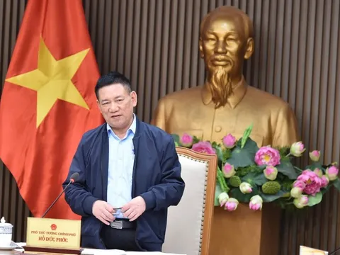Phó Thủ tướng Hồ Đức Phớc chủ trì cuộc họp tái cơ cấu Ngân hàng phát triển Việt Nam