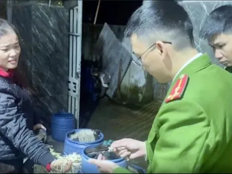 Các tỉnh miền Trung tăng cường kiểm tra, ngăn chặn thực phẩm bẩn dịp cận Tết