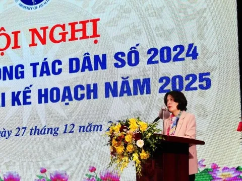 Công tác dân số năm 2024 chỉ hoàn thành 1/3 chỉ tiêu được giao