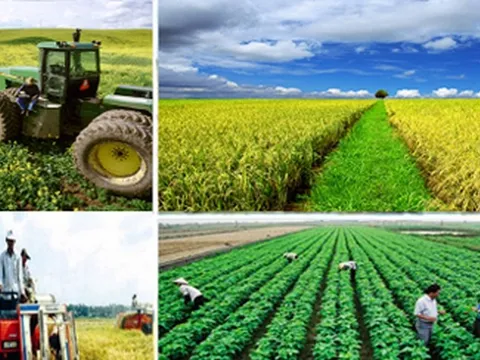 Ban hành Bộ chỉ tiêu giám sát, đánh giá về nông nghiệp, nông dân và nông thôn