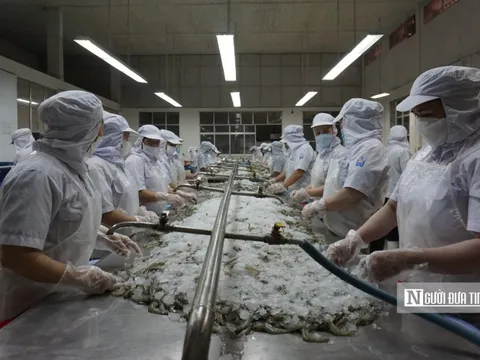 Bình Định: Thưởng Tết Nguyên đán Ất Tỵ cao nhất gần 123 triệu đồng