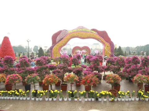 Mê Linh rực rỡ sắc hoa