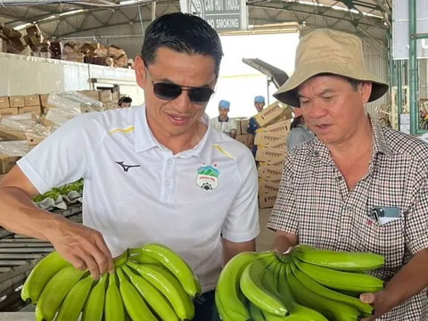 Doanh nghiệp của bầu Đức bị réo tên do sai phạm thuế