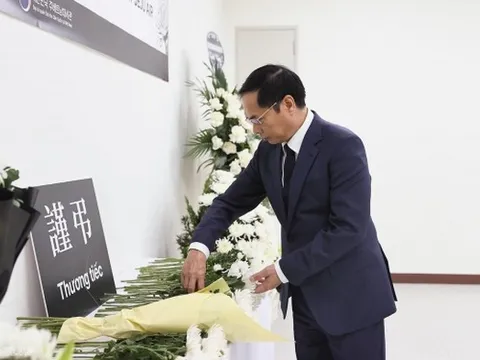 Phó Thủ tướng Bùi Thanh Sơn viếng và tưởng niệm nạn nhân vụ tai nạn máy bay của Hàn Quốc