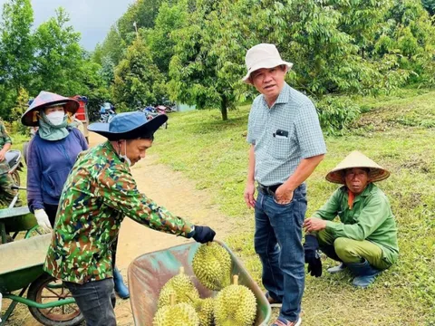 HAGL thanh toán thêm 824 tỷ đồng gốc trái phiếu