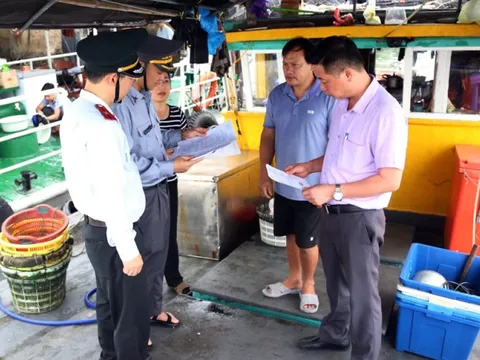 Quảng Ninh: Xử phạt hơn 270 trường hợp vi phạm trong khai thác thủy sản