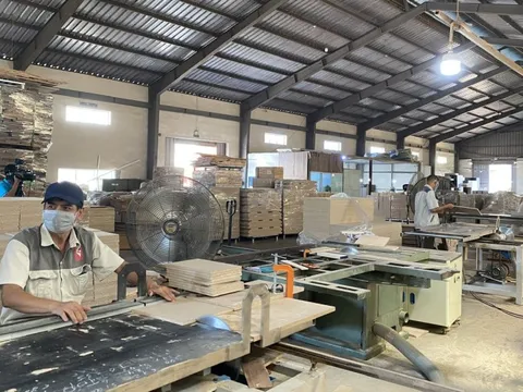 Phát huy tư duy liên vùng, lợi thế đất đai, thổ nhưỡng